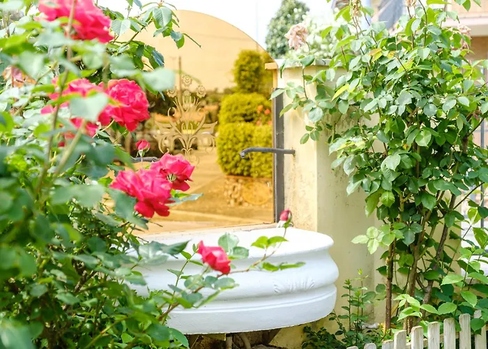 Le Rose Mwc - Riviera Collection Bed & Breakfast Misano Adriatico